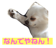143823786