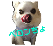 143823792