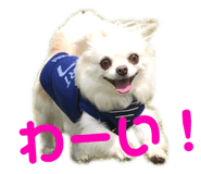 143823794