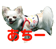 143823796
