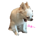 143823797