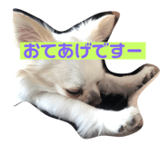 143823798