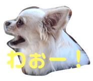 143823799