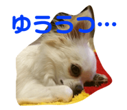 143823800