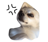 143823802