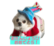143823812