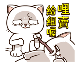 14389031