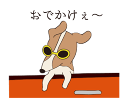 14391204