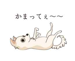 14391205