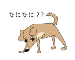 14391220