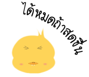 14391374