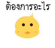 14391382