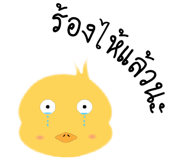 14391383