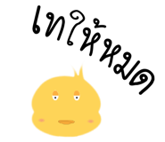 14391384