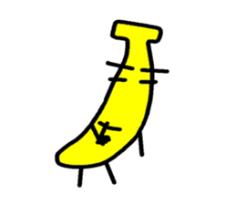 1440553