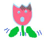 144080955
