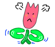 144080957