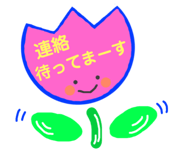 144080965
