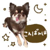 144087536