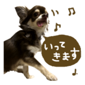 144087538