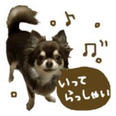 144087539