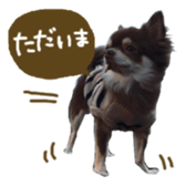 144087540