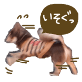 144087544