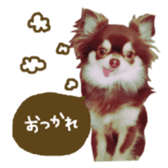 144087545