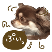 144087553