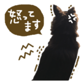 144087554