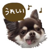 144087556