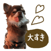144087559