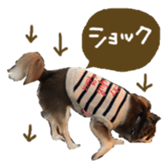144087564