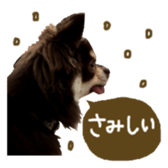 144087565