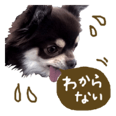 144087567