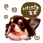 144087568