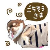 144087571