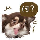 144087573