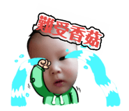 144095317