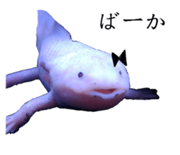 14414587