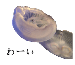 14414598