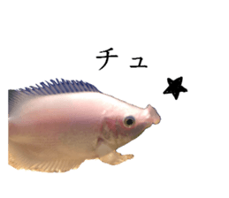 14414603