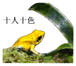 14414607