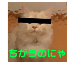 144195106