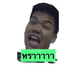 144214542