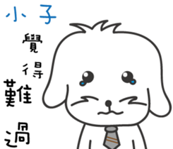 144224799