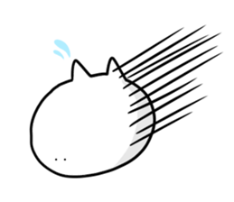 1443080