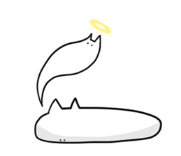 1443081
