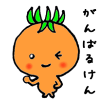 1443338