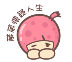 144337027